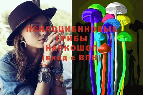 Альфа ПВП Аркадак